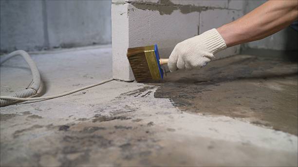 SJ Waterproofing Pros Basement Waterproofing coverage map for Laingsburg, MI and surrounding area